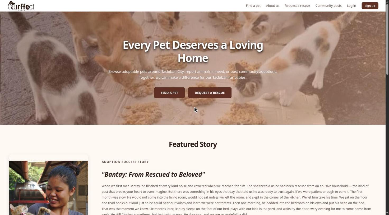 Purrfect Haven homepage